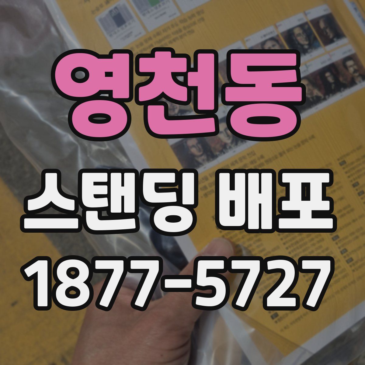 영천동 스탠딩 배포
