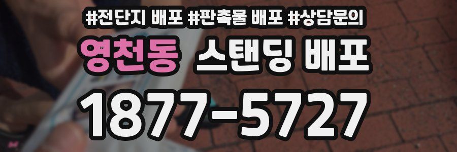 영천동 스탠딩 배포