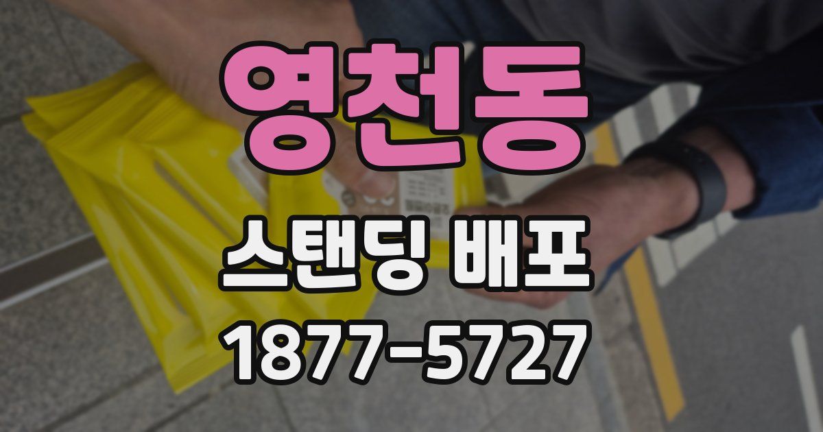 영천동 스탠딩 배포