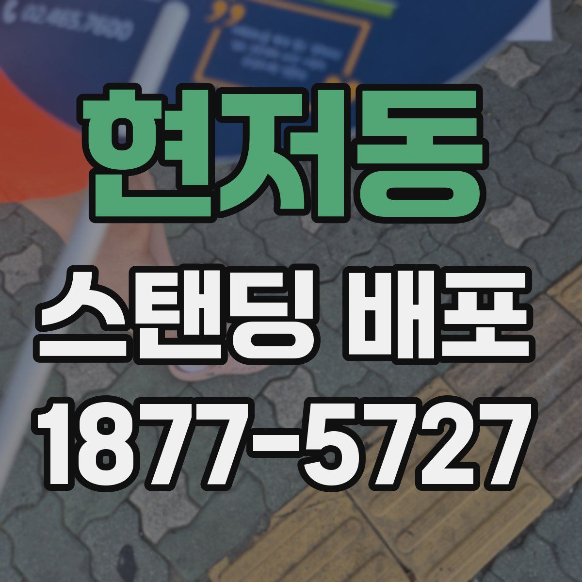 현저동 스탠딩 배포
