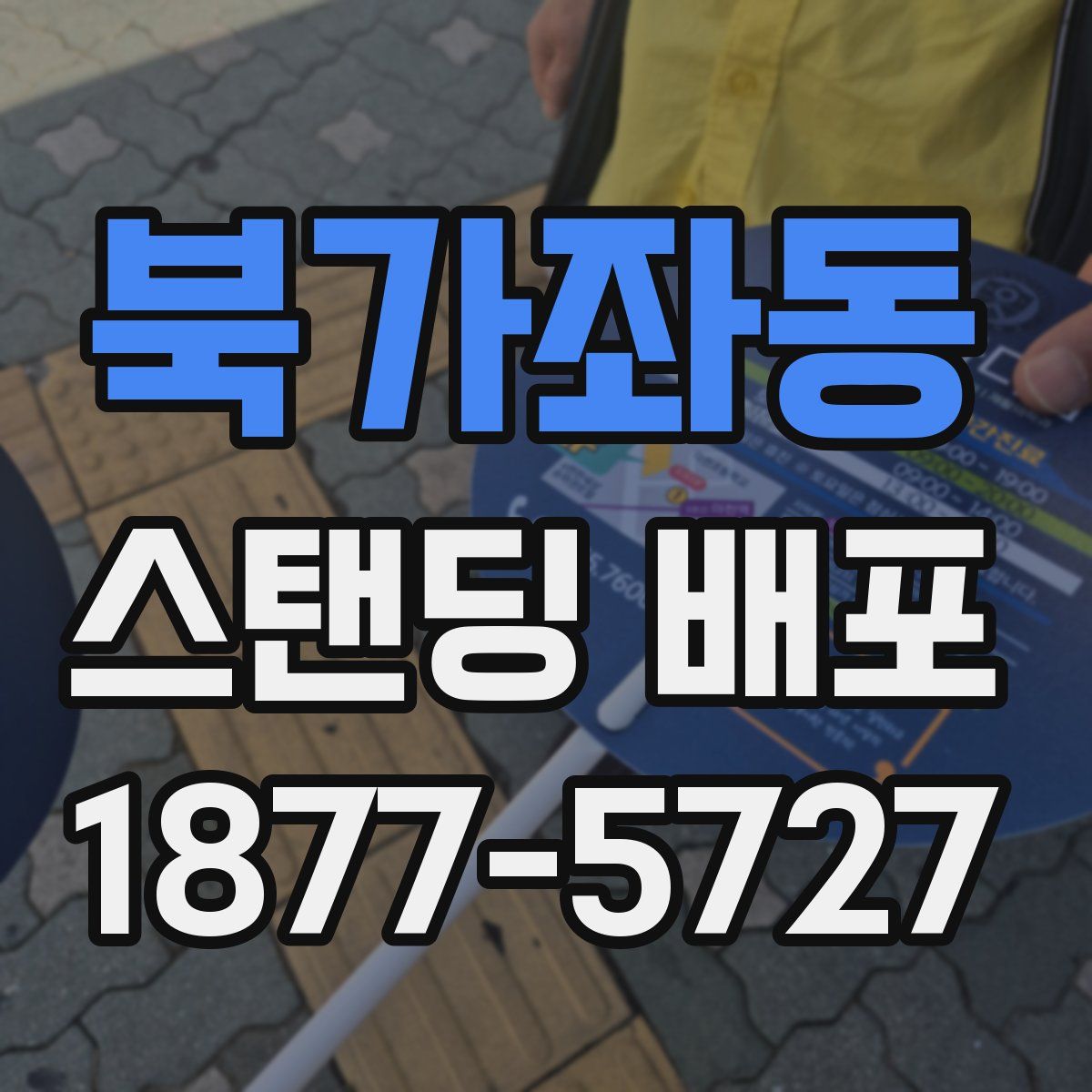 북가좌동 스탠딩 배포