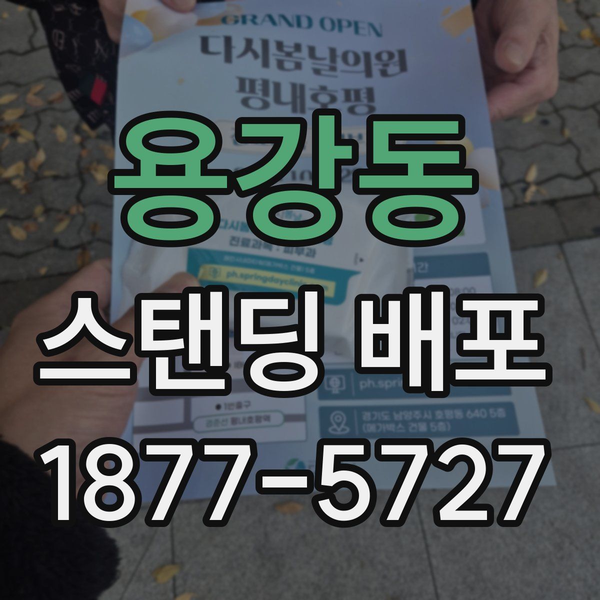 용강동 스탠딩 배포