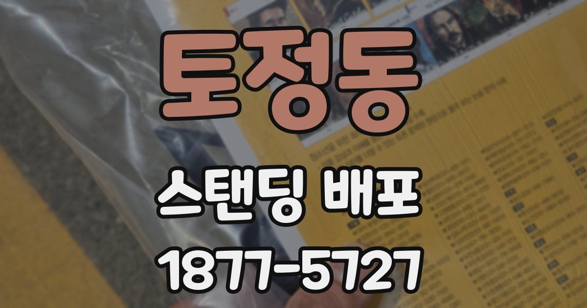 토정동 스탠딩 배포