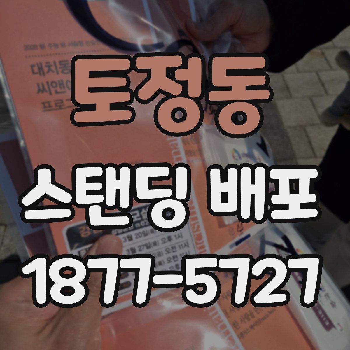 토정동 스탠딩 배포