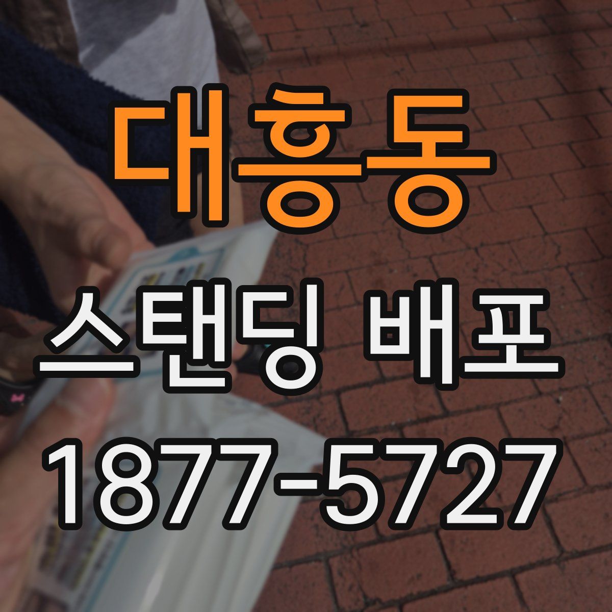 대흥동 스탠딩 배포