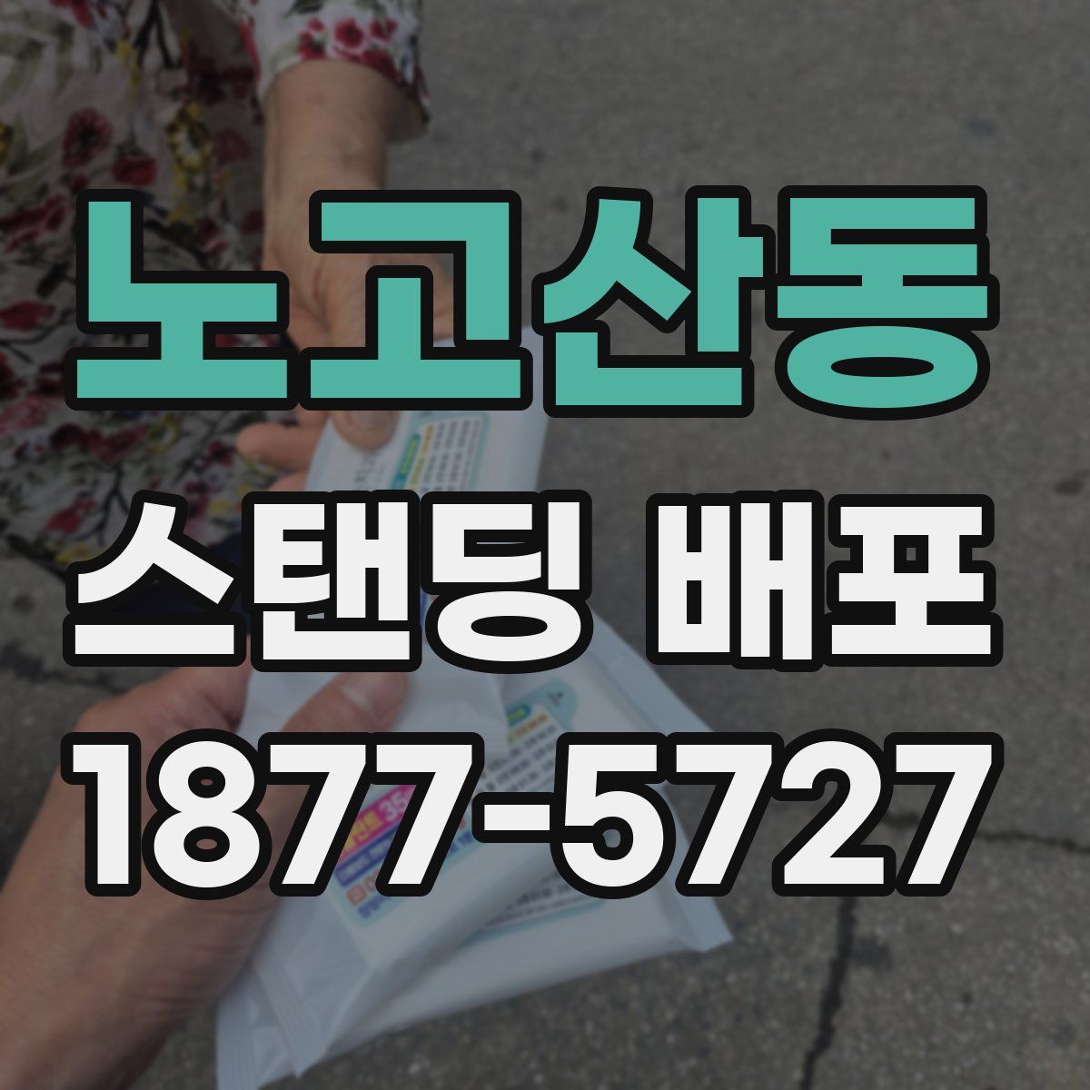 노고산동 스탠딩 배포