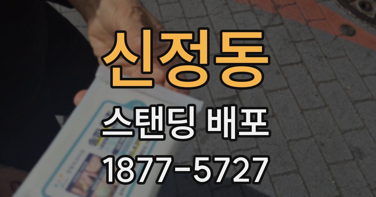 신정동 스탠딩 배포