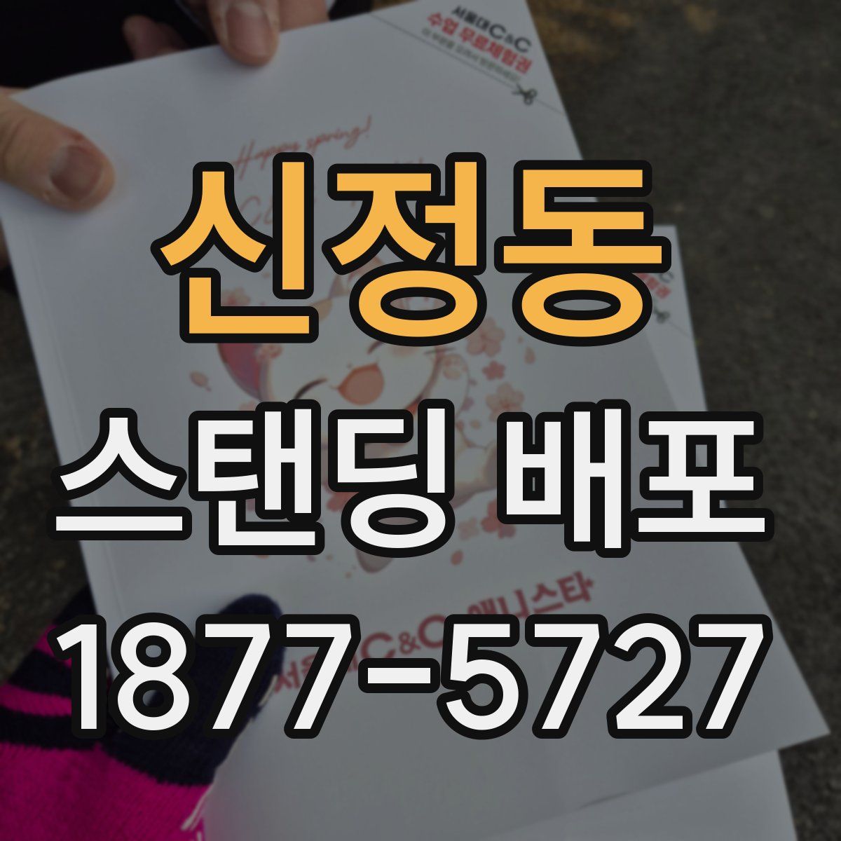 신정동 스탠딩 배포