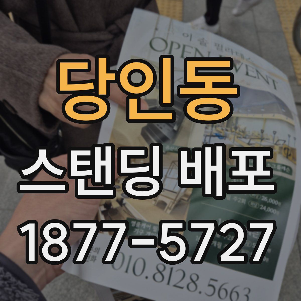 당인동 스탠딩 배포