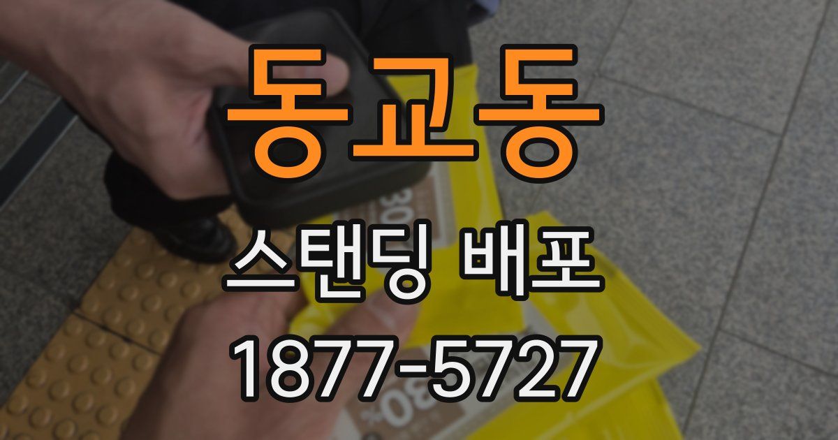동교동 스탠딩 배포