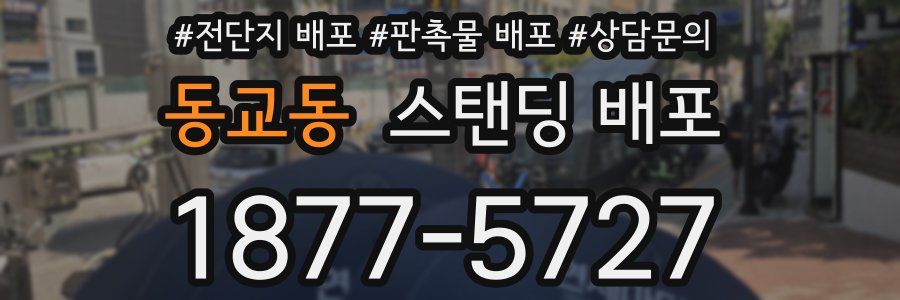 동교동 스탠딩 배포