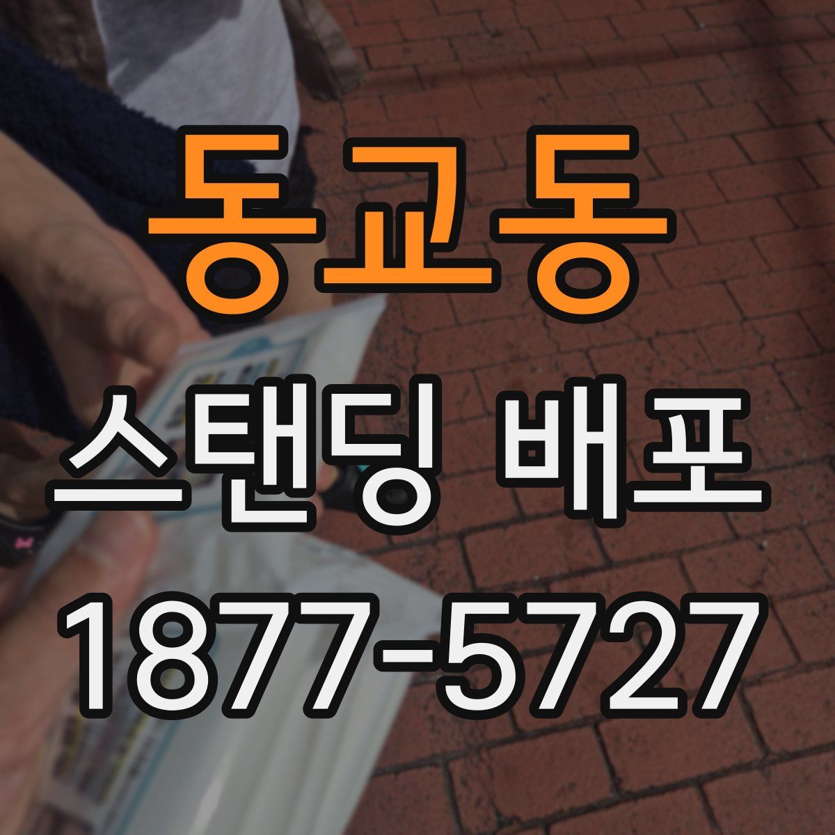 동교동 스탠딩 배포