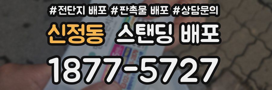 신정동 스탠딩 배포