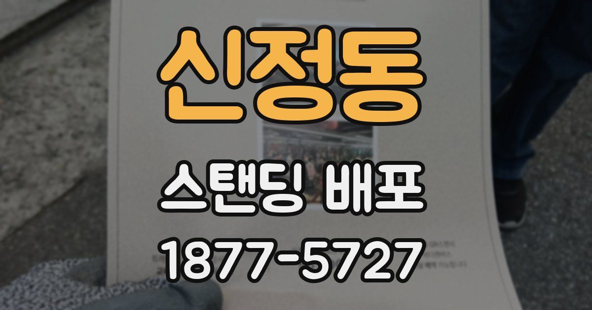 신정동 스탠딩 배포