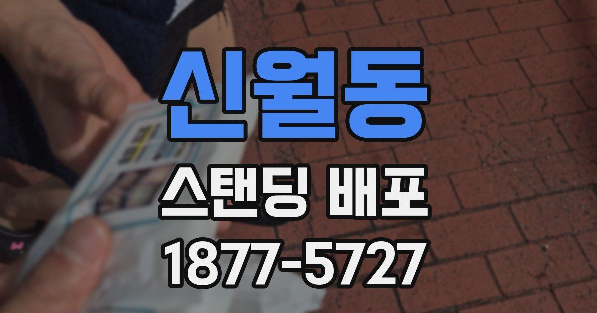 신월동 스탠딩 배포