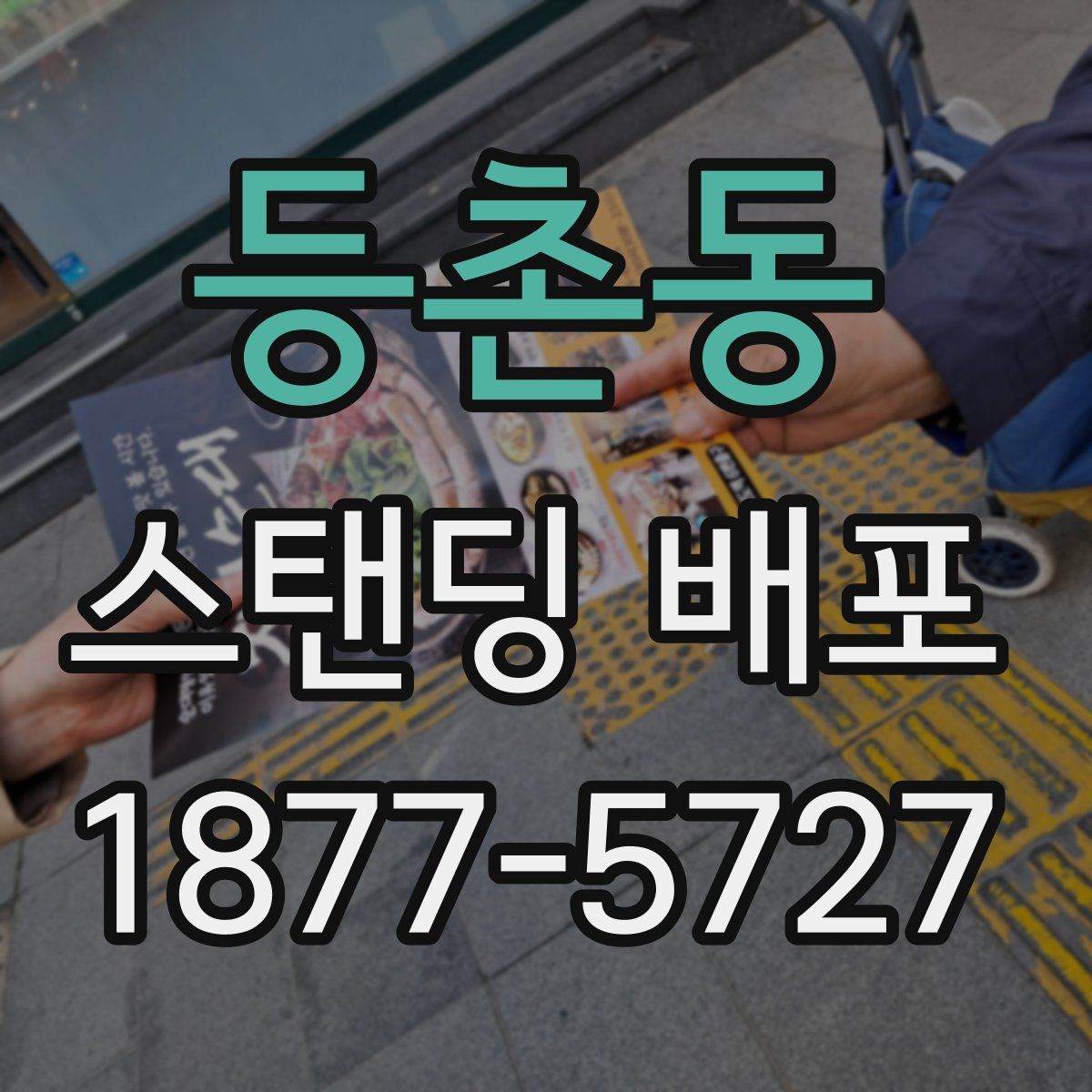 등촌동 스탠딩 배포