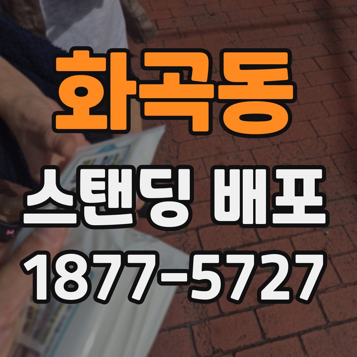 화곡동 스탠딩 배포