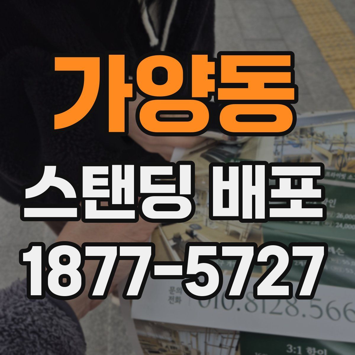 가양동 스탠딩 배포