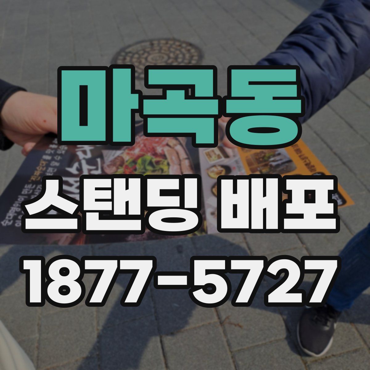 마곡동 스탠딩 배포