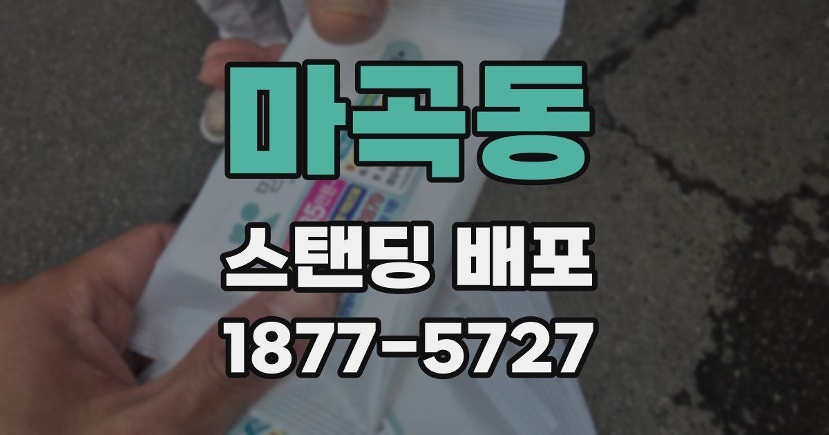 마곡동 스탠딩 배포
