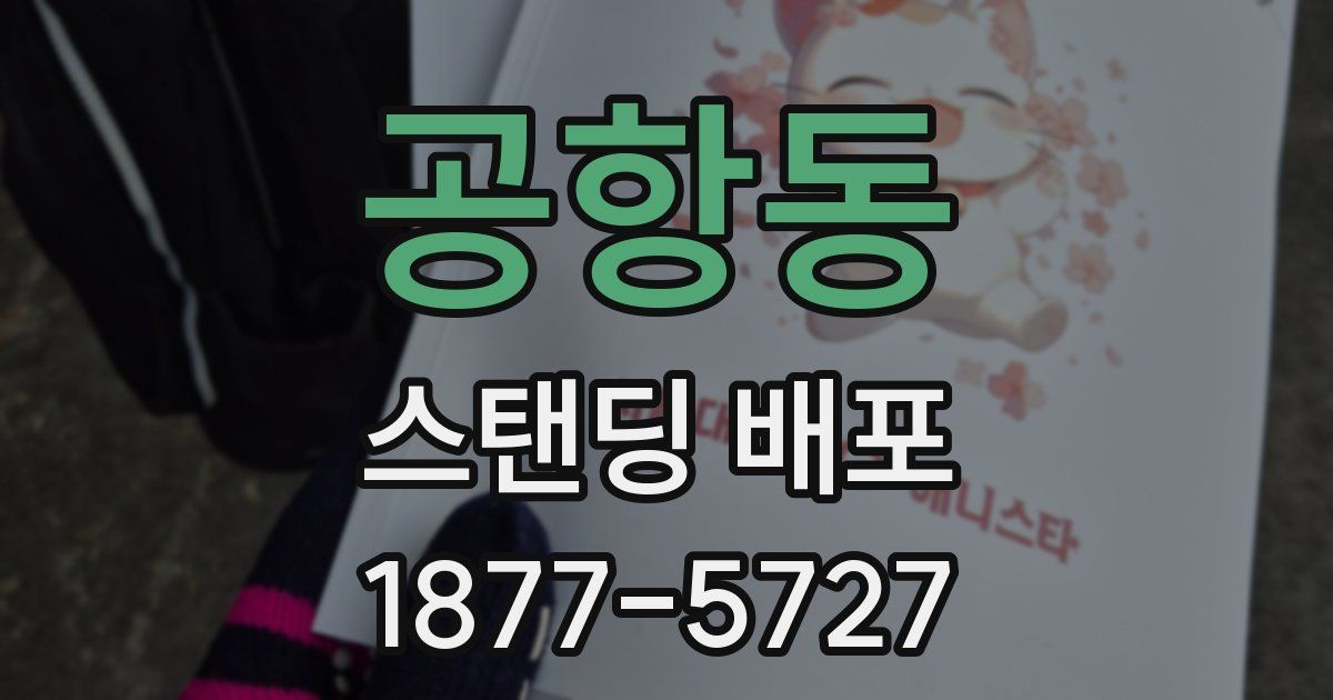 공항동 스탠딩 배포