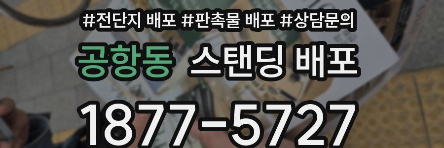 공항동 스탠딩 배포