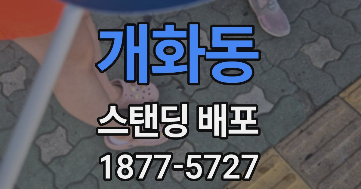 개화동 스탠딩 배포