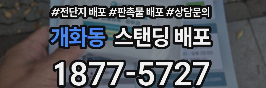 개화동 스탠딩 배포