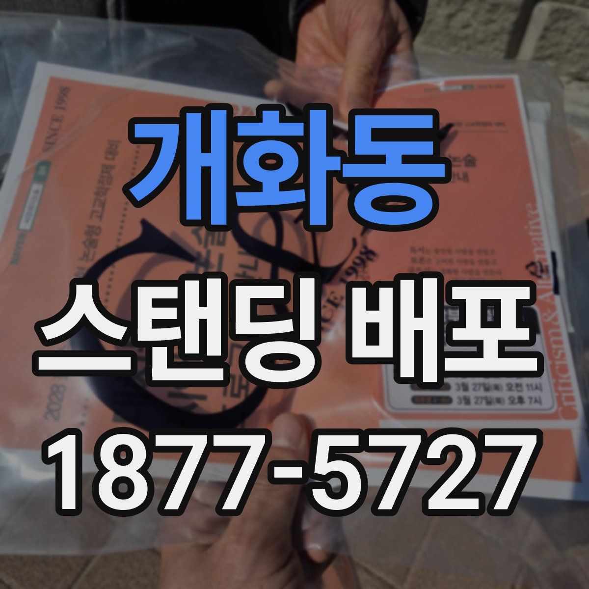 개화동 스탠딩 배포