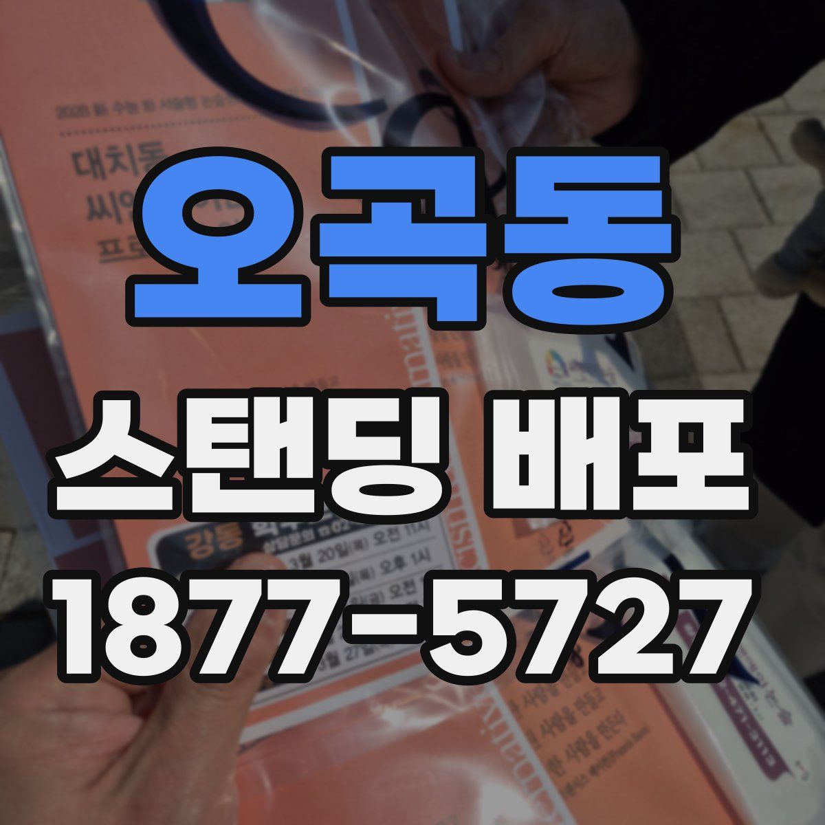 오곡동 스탠딩 배포