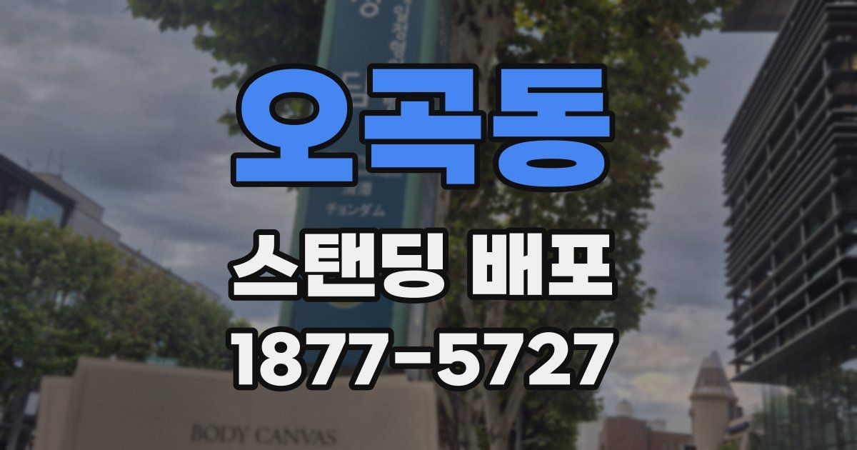 오곡동 스탠딩 배포