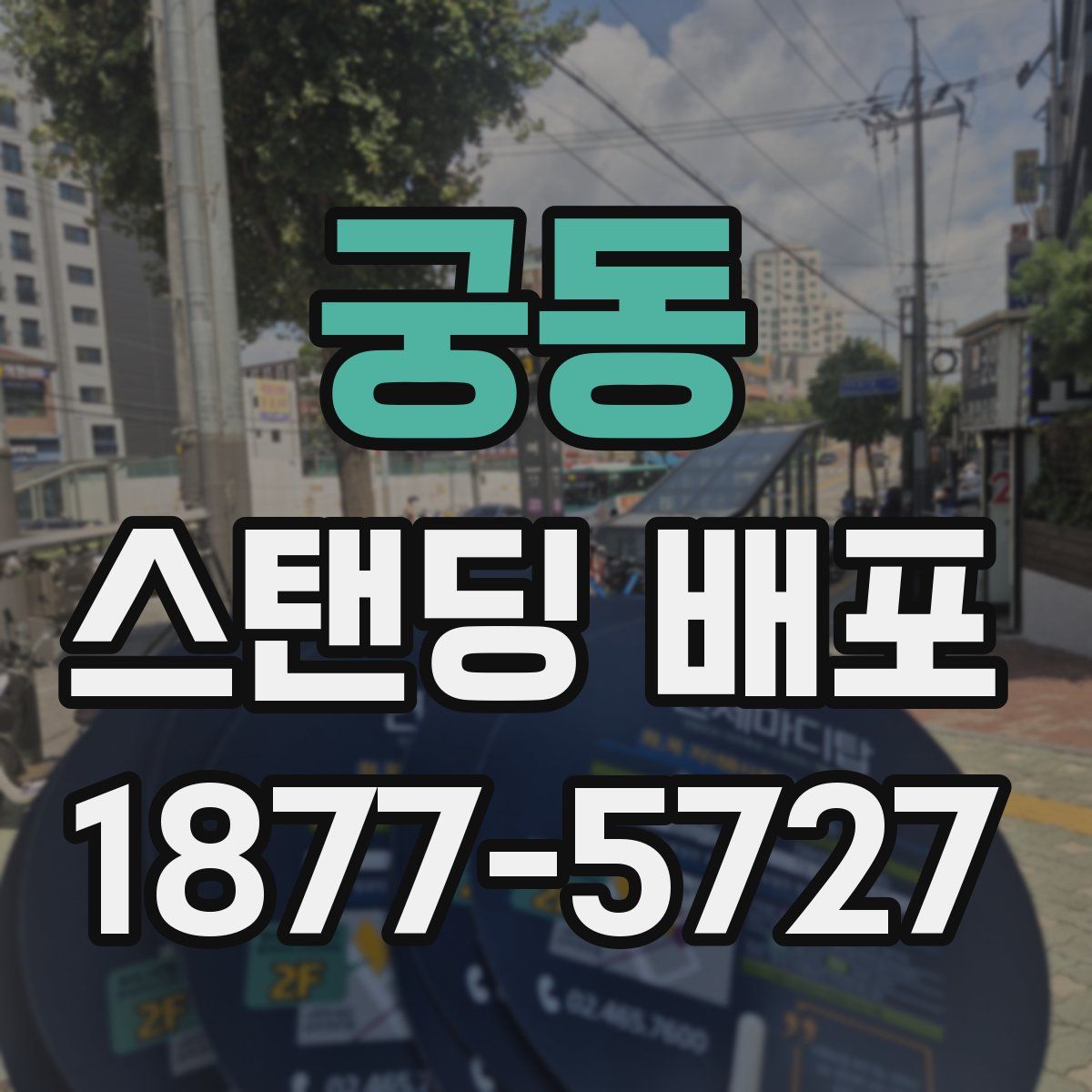 궁동 스탠딩 배포