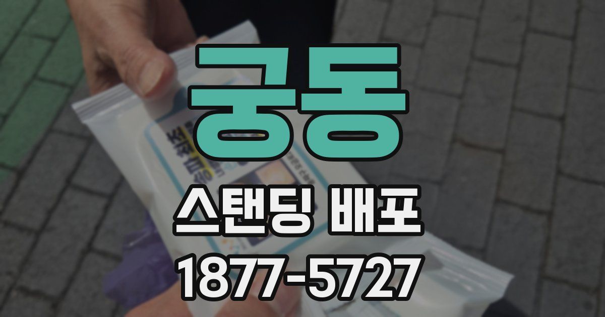 궁동 스탠딩 배포