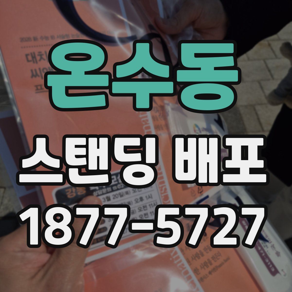 온수동 스탠딩 배포
