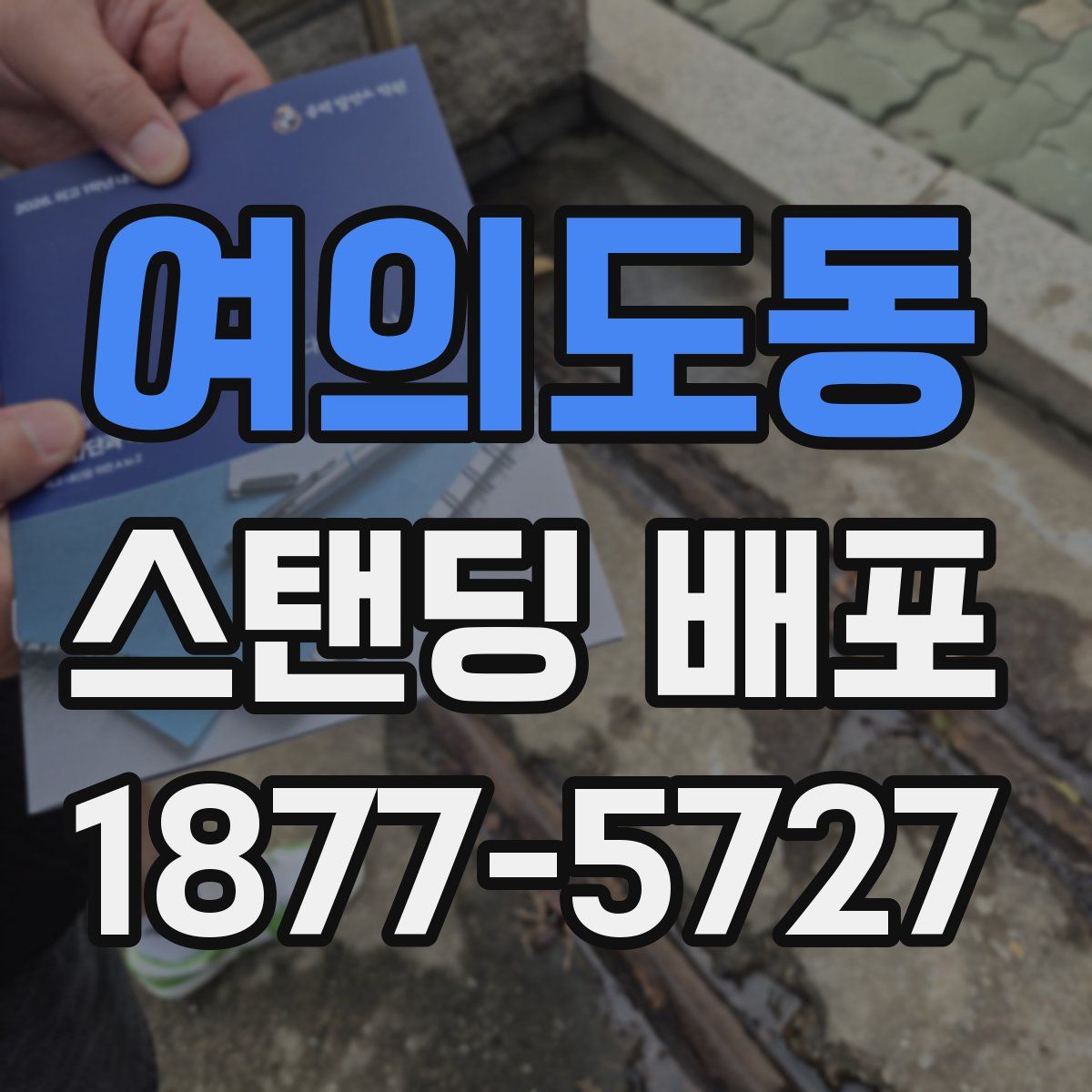 여의도동 스탠딩 배포