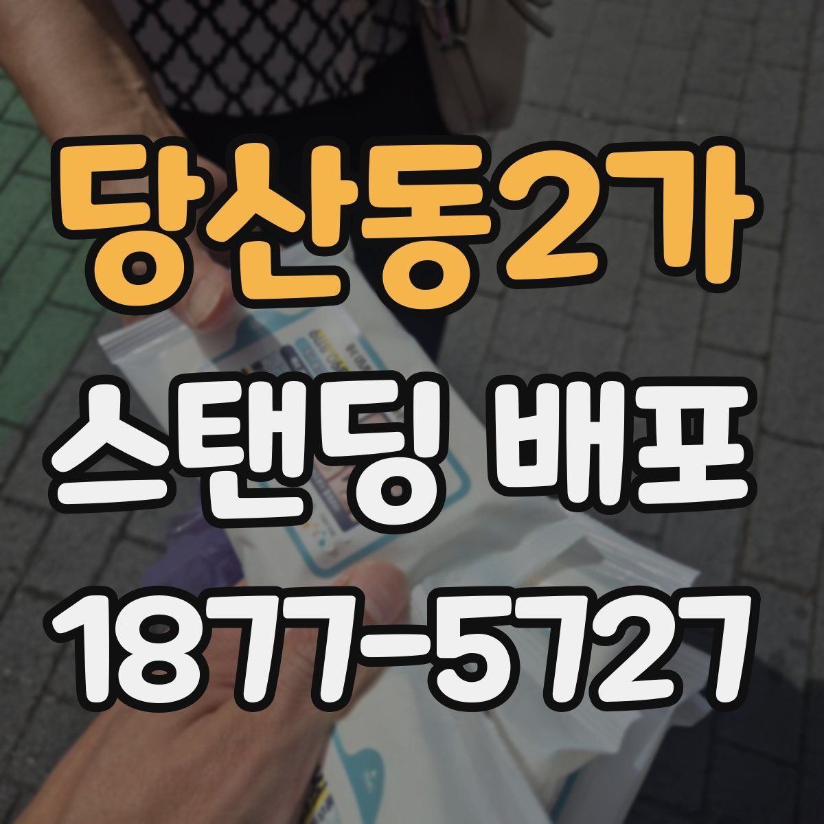 당산동2가 스탠딩 배포