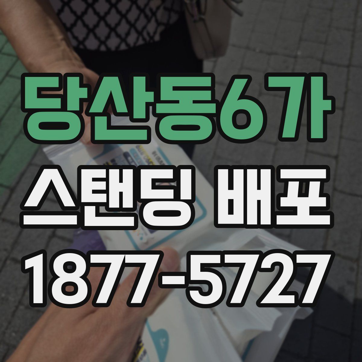당산동6가 스탠딩 배포