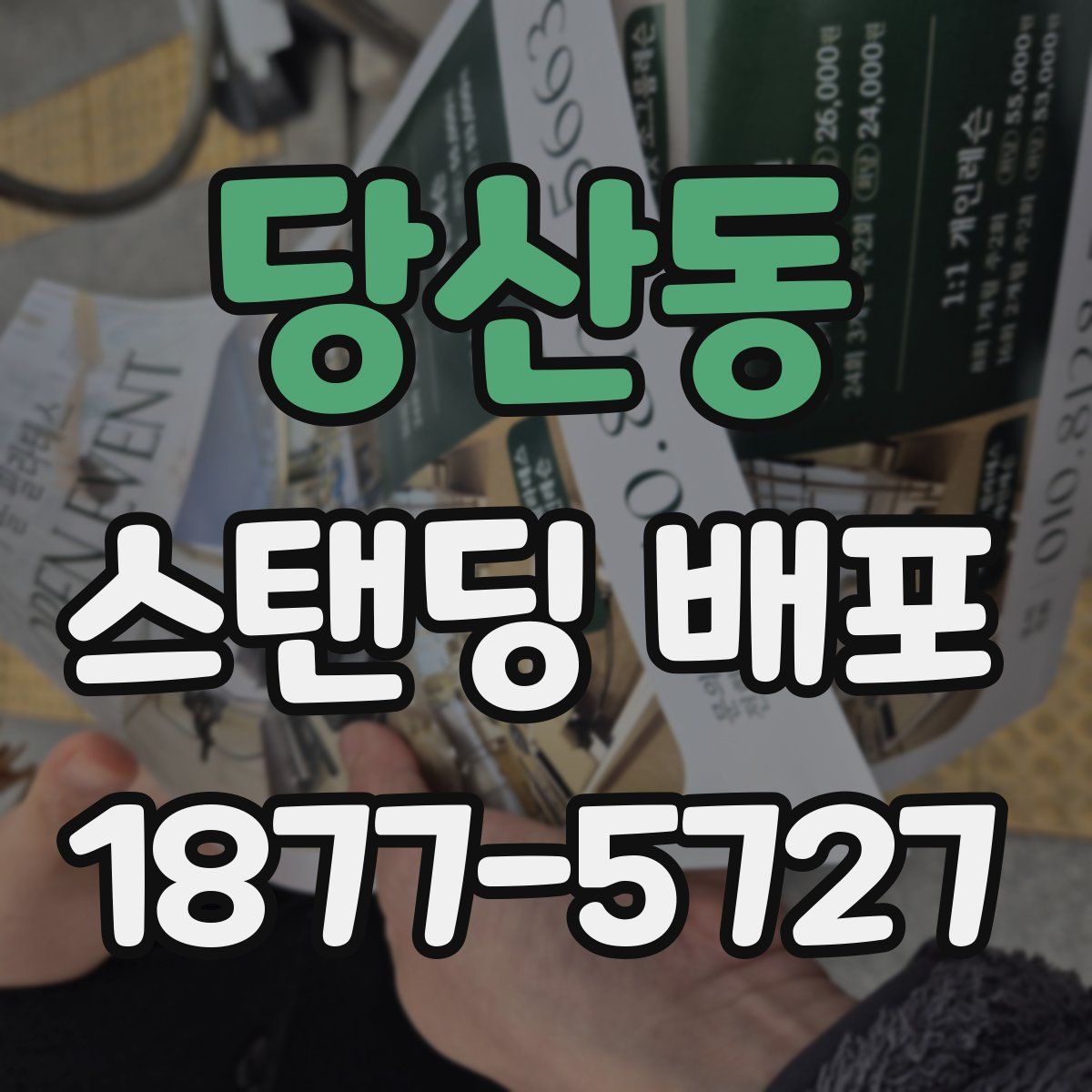 당산동 스탠딩 배포