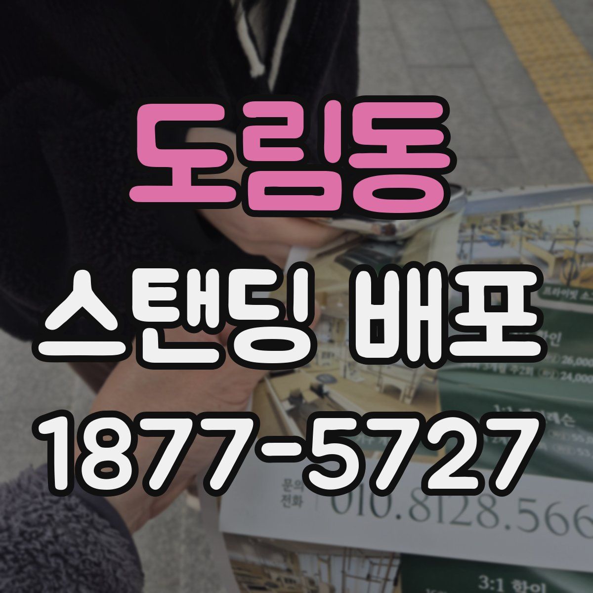 도림동 스탠딩 배포