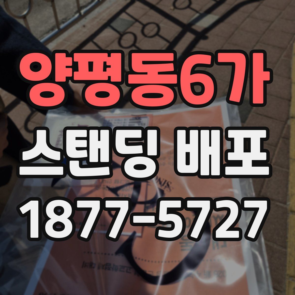 양평동6가 스탠딩 배포