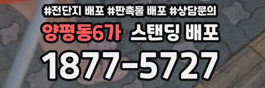 양평동6가 스탠딩 배포