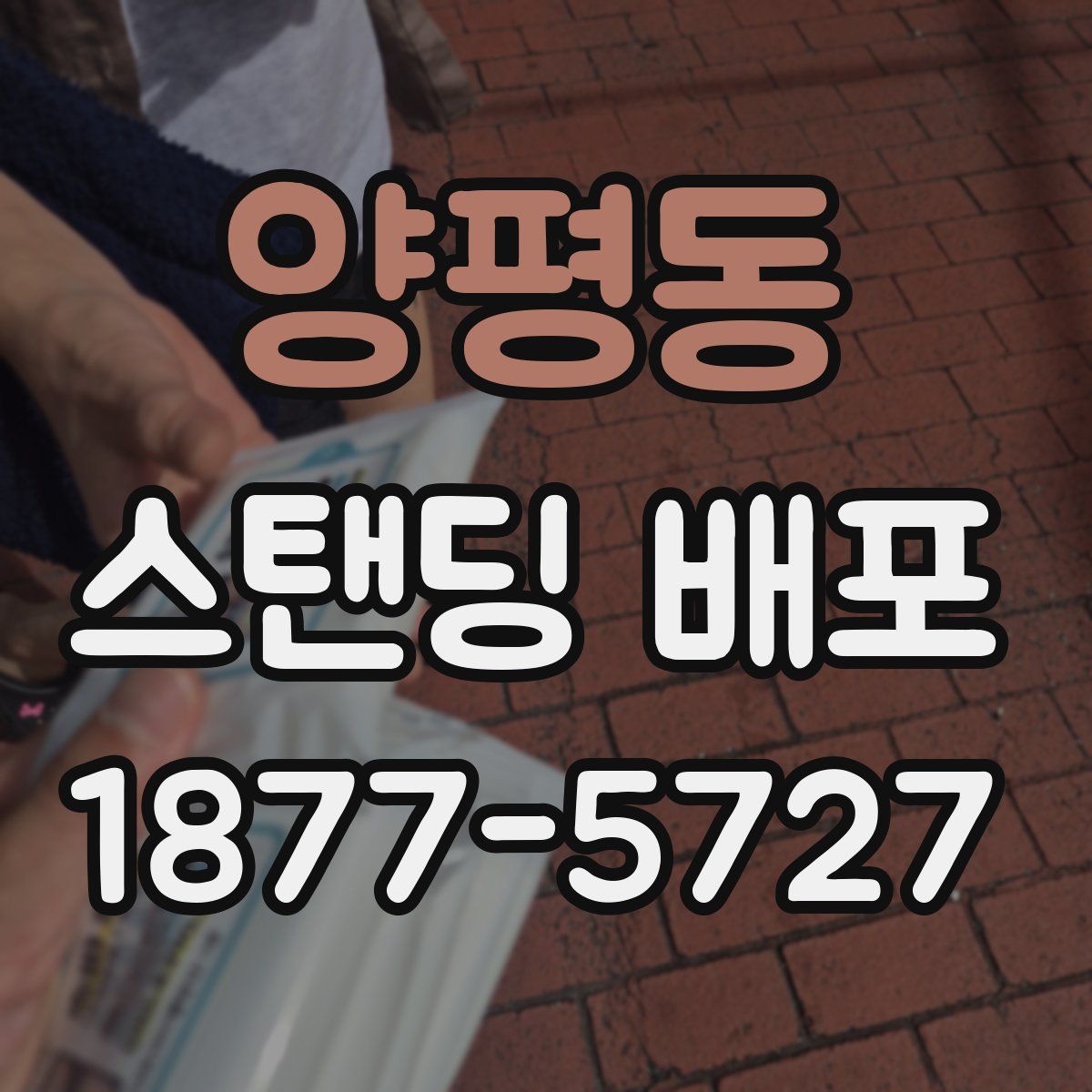 양평동 스탠딩 배포