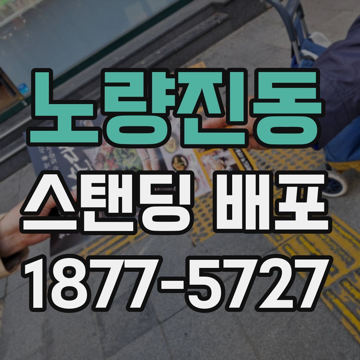 노량진동 스탠딩 배포