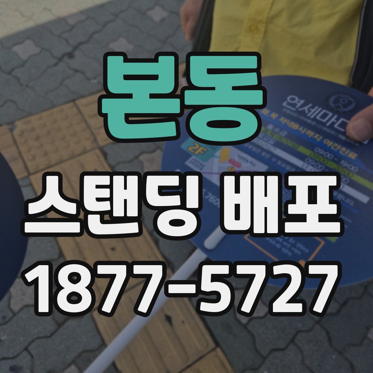 본동 스탠딩 배포