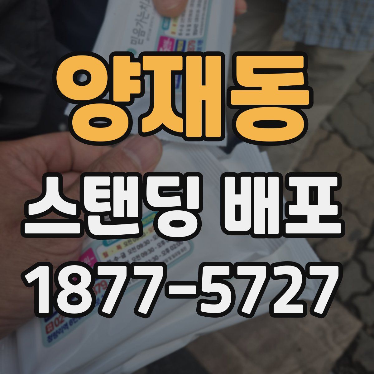 양재동 스탠딩 배포
