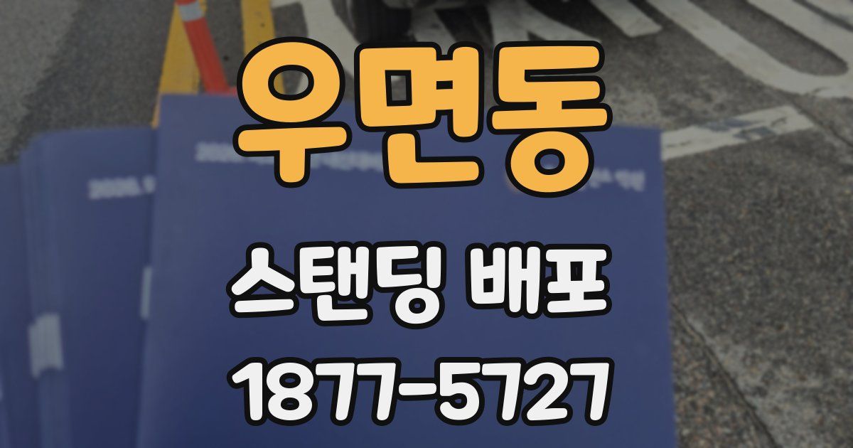 우면동 스탠딩 배포