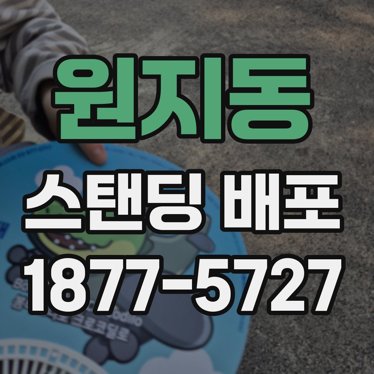 원지동 스탠딩 배포
