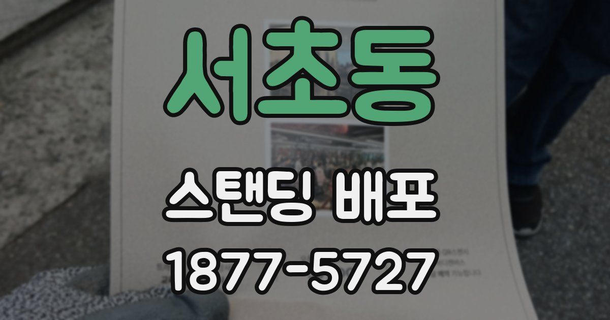 서초동 스탠딩 배포