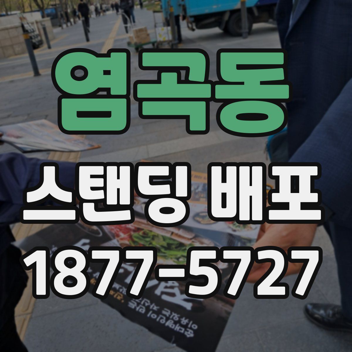 염곡동 스탠딩 배포