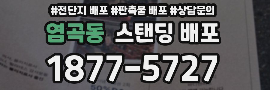 염곡동 스탠딩 배포